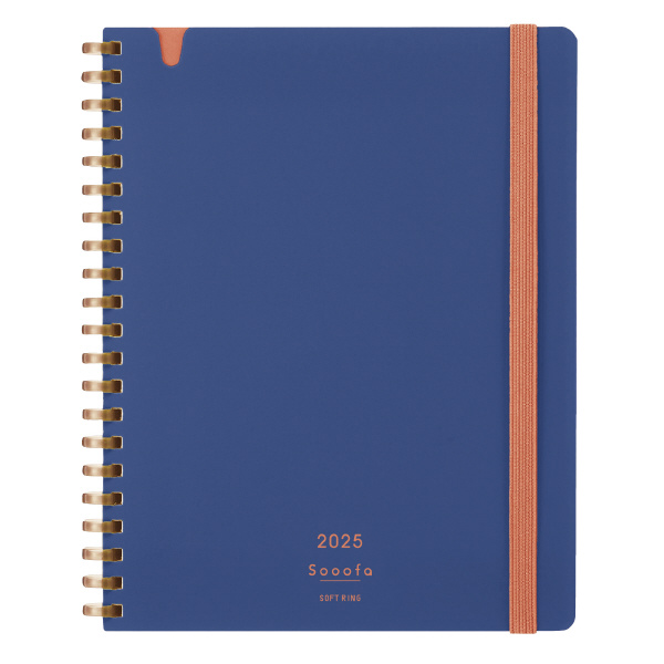 新品イナータス ソルクラウデーレA＋B2本セット 新品イナータス