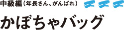 かぼちゃバッグ